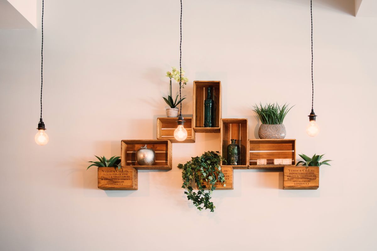 Wooden wall shelves styled with plants and decor in a bright living room